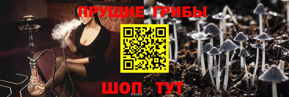 Галлюциногенные грибы Psilocybine cubensis  Вход с VPN  Галлюциногенные грибы прущие грибы  Михайловка 